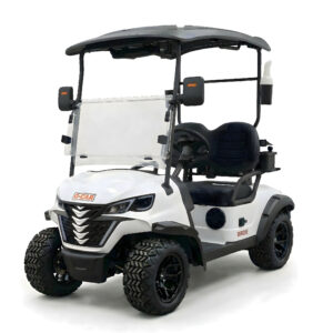 Q-CAR BIRDIE Electric Golf Car